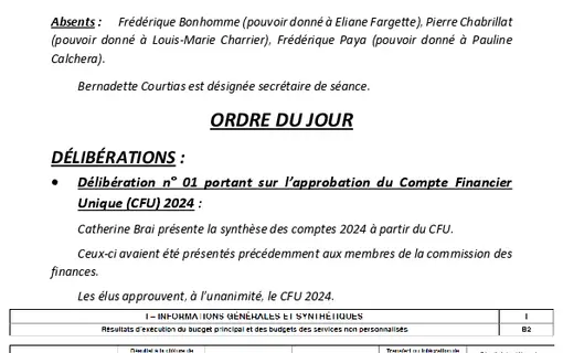 Comptes rendus conseil municipal de l'ann&eacute;e en cours