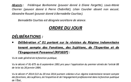 Comptes rendus conseil municipal de l'ann&eacute;e en cours